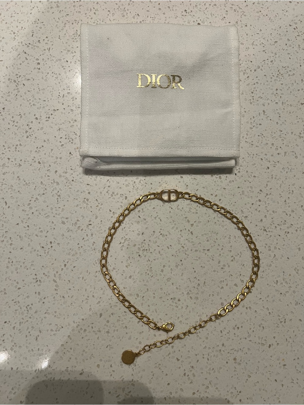 DIOR Gold Link Chain Choker with Signature Charm